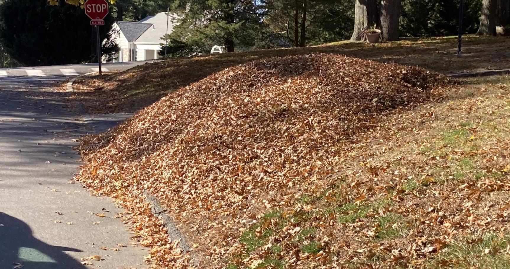 Curbside Leaves